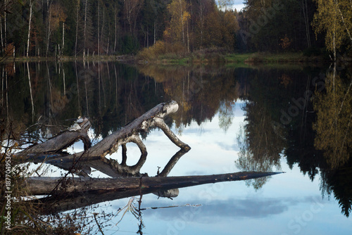 lake with wooded shores on an October day