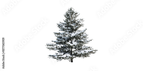 A Beautiful Evergreen Fir Tree Covered with a Thick Blanket of Fresh White Snow Isolated on a Transparent Background.