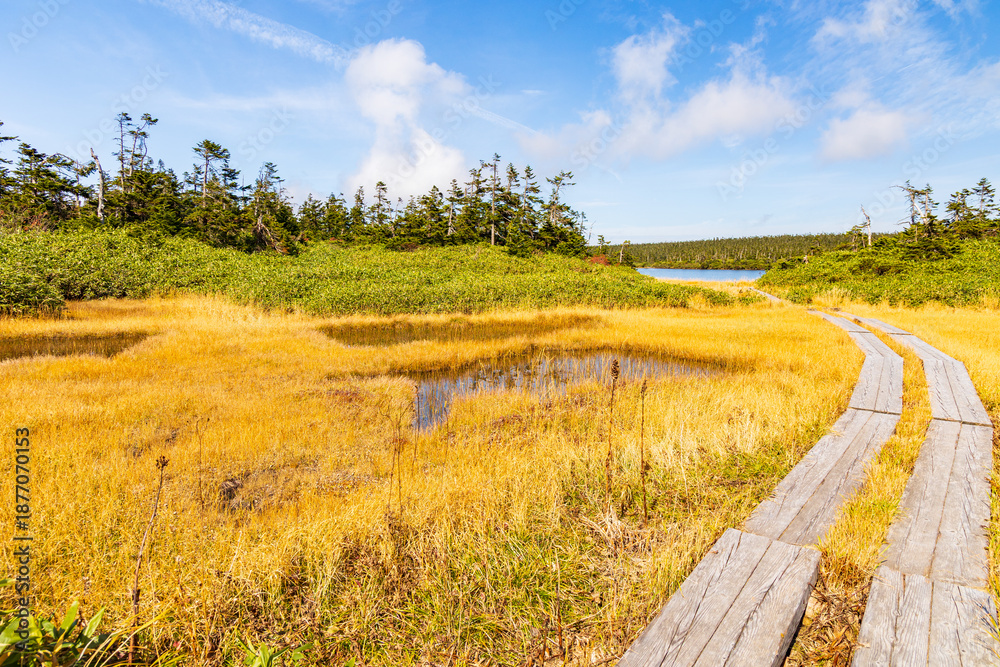 Obraz premium 日本の風景・秋 日本百名山 紅葉の八幡平