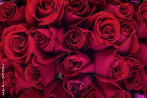 Beautiful macro close-up of lush red roses tightly arranged in a bouquet. Rich, velvety petals and deep crimson tones create an elegant, romantic floral background. Ideal for Valentine's Day designs, 