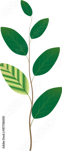 Illustration showing manganese deficiency in plants, characterized by chlorosis and poor growth, commonly used for agricultural education and soil nutrient management concepts.