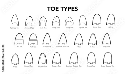 Toe types diagram single line pair. Pointed, almond, square shell shapes for learning, professional reference design education. Technical fashion illustration CAD mockup clean vector men women unisex