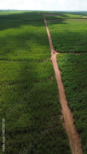 Aerial view of rural dirt road crossing agricultural fields in Brazil