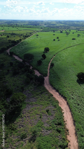 Aerial view of rural dirt road crossing agricultural fields in Brazil