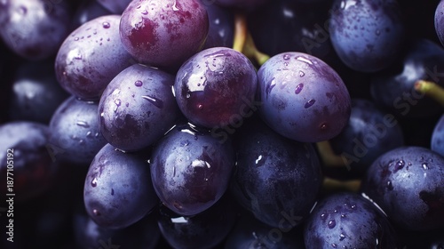Close-up of Juicy Dark Grapes with Water Droplets