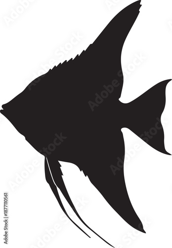Angelfish Silhouette on White Background