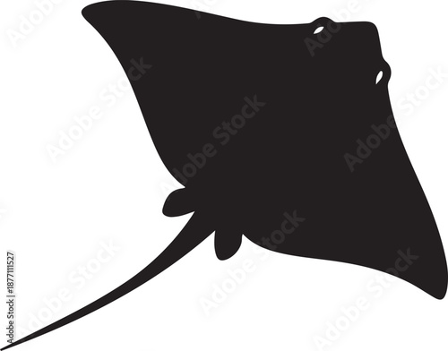 Fotografie Gliding Stingray with Wide Pectoral Fins and Ocean Floor Movement