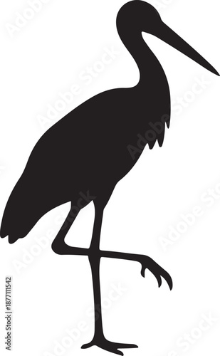 Stork Silhouette on White Background
