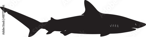 Thresher Shark Silhouette on White Background