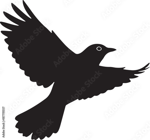 Thrush Silhouette on White Background