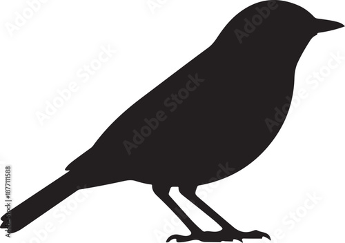 Warbler Silhouette on White Background