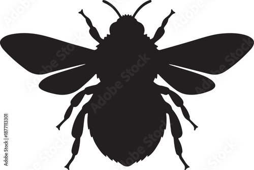 Bumblebee Silhouette on White Background