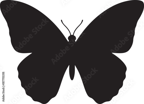 Butterfly Silhouette on White Background