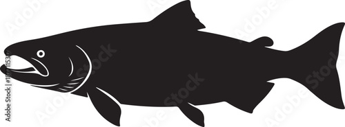 Chinook Salmon Silhouette on White Background