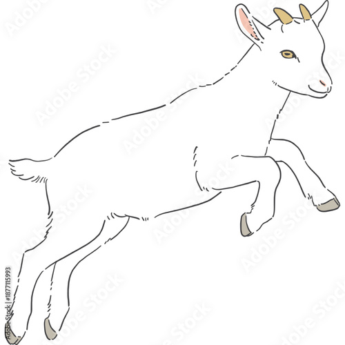 かわいい白いヤギの手書きイラスト