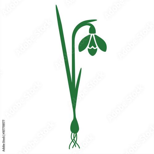 Snowdrops are similar to a QR code barcode code. Spring, Valentine's Day