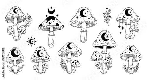 A mystical collection of celestial mushrooms decorated with moons and stars in a black and white line art doodle style.