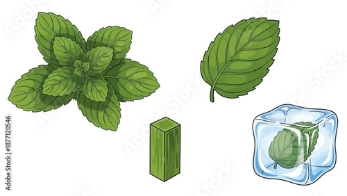 Fresh mint leaves and mint chocolate on ice, a refreshing summer treat viewed from above.