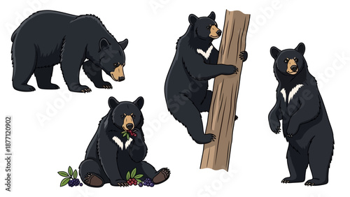 Black bears in various poses and activities illustrated in a simple graphic style