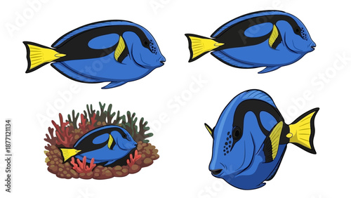 Illustration of blue tang fish in various poses near coral reef