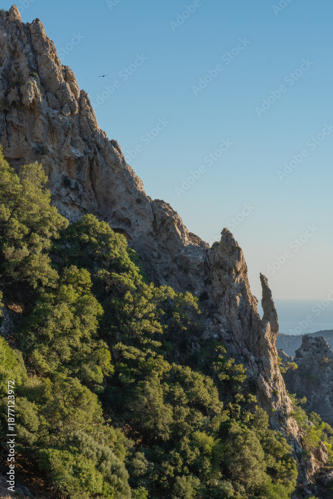 Fototapeta premium Détail de falaise dans la gorge de Platania, Crète