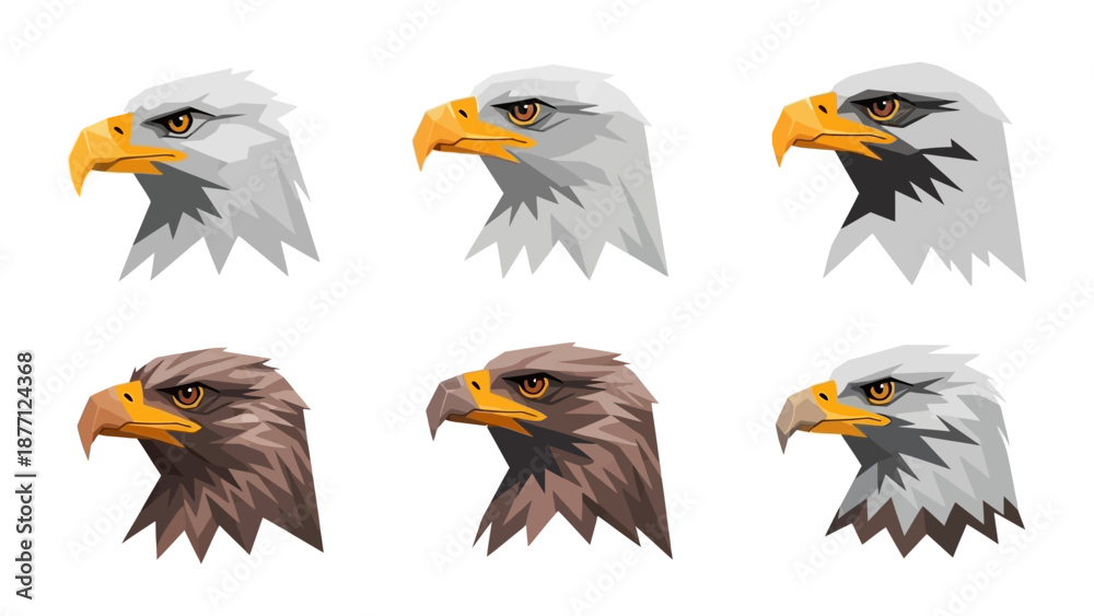 Fototapeta premium Eagle Head Collection: Diverse Avian Portraits