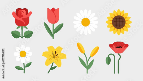 Set of vector flat flowers: rose, tulip, daisy, sunflower, lily, poppy