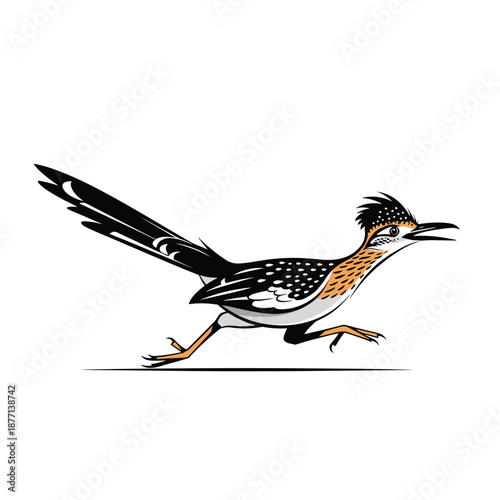 Dynamic illustration of a roadrunner bird running quickly with its crest raised and tail feathers spread out.