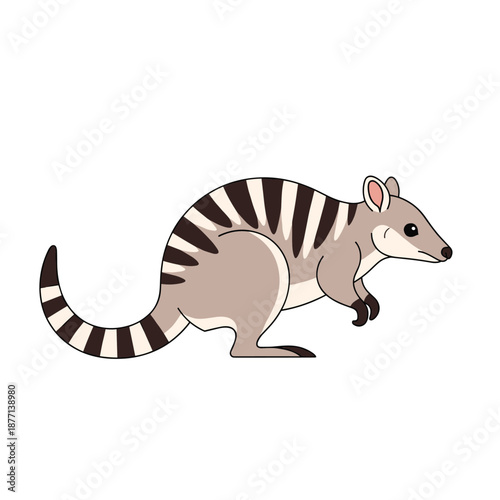Vector illustration of a striped numbat marsupial from Australia shown in profile and isolated on a plain white background for educational use.