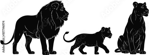 African lion family silhouettes showing male female and cub together wildlife vector illustration isolated on white background for safari design