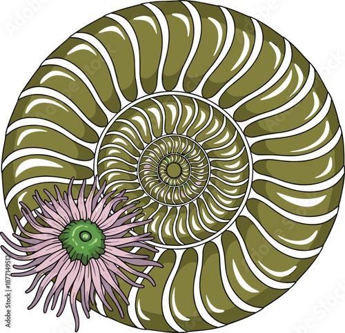 Fractal spiral shell with floral symmetry in green and pink tones, abstract nature-inspired design illustrating Fibonacci sequence and mathematical beauty in organic form