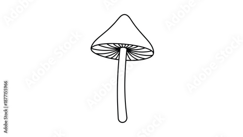 Simple black and white line drawing of a tall conical mushroom for nature studies and botanical illustrations.