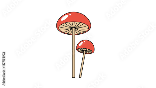 Illustration of two vibrant red mushrooms with tall slender stalks and gilled undersides standing against a plain background.