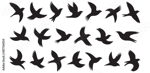 Flying birds flock in different poses and motion isolated on white background