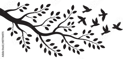Birds flying away from dark tree branch silhouettes against white background