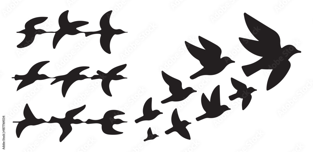 Fototapeta premium Birds in formation flying, migration and travel theme