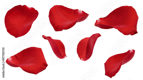 Foto a beautiful arrangement of red rose petals scattered on a transparent background, captured in high definition for a romantic feel