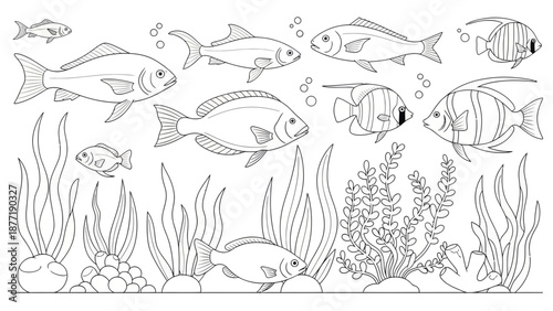 Fish coloring page with underwater plants