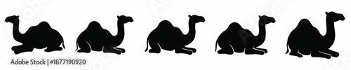 Arabian Camel Silhouette Vector