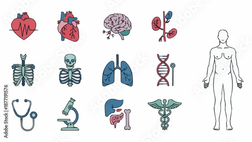Collection of Medical and Human Anatomy Icons.