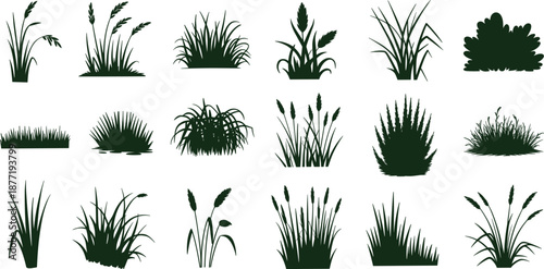 Green grass and shrub silhouette icons in grid layout showcasing diverse foliage shapes for landscaping, botanical, and design illustration