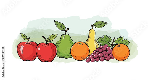Watercolor fruits illustration featuring apples pears oranges and grapes creating a healthy and