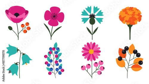 Colorful collection of stylized flowers and leaves in vector illustration.