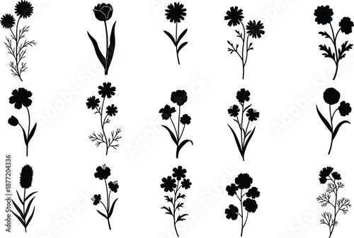 Set of twelve black flower silhouettes in grid layout, botanical vector icons for nature, design, pattern, and decorative themes