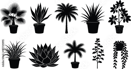 Based on your collection of black and white tropical plant and palm silhouettes, here is the SEO-optimized content for your vector illustration.