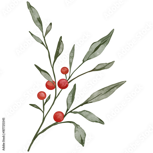Watercolor Branch with Red Berries