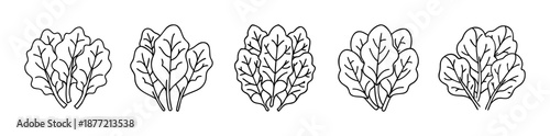 Five distinct outline illustrations of fresh leafy green vegetables