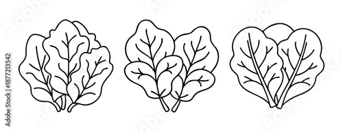 Minimalist hand-drawn black outline illustrations of leafy greens