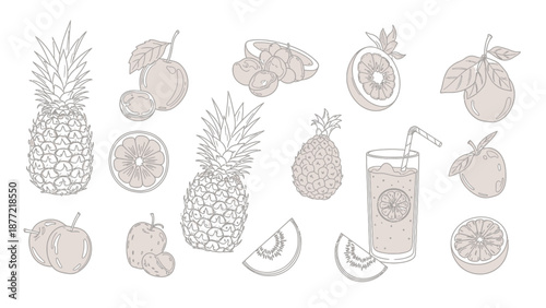 Collection of hand-drawn tropical and common fruits including pineapples, oranges, apples, melon slices, and a glass of juice in a sketch style.
