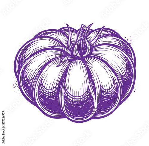 Purple pumpkin illustration in a sketch style for halloween or fall decoration